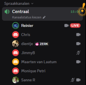 Centraal in Discord: je ziet hier de deelnemers